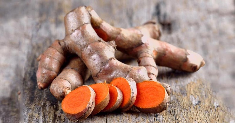 có nên bôi nghệ tươi trị mụn 1