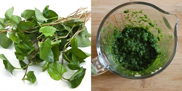 Đắp mặt nạ rau diếp cá trị mụn 1