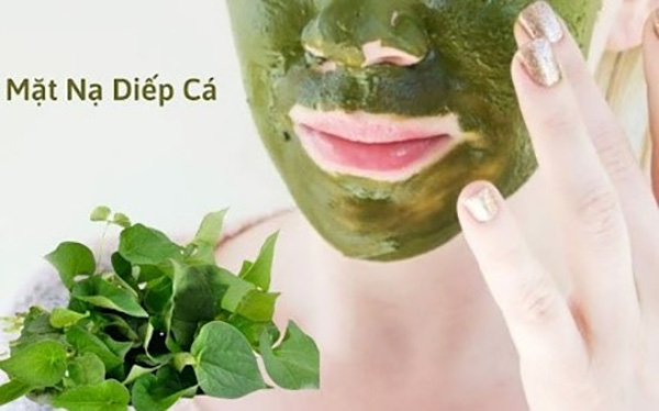 Đắp mặt nạ rau diếp cá trị mụn 4