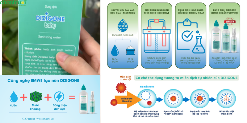 Dung dịch kháng khuẩn DIZIGONE 3