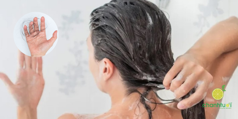 Gội đầu rụng bao nhiêu tóc là bình thường 1