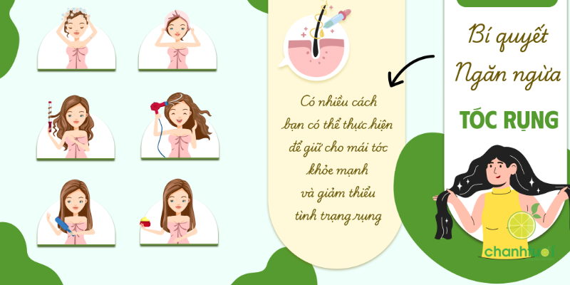 Gội đầu rụng bao nhiêu tóc là bình thường 4