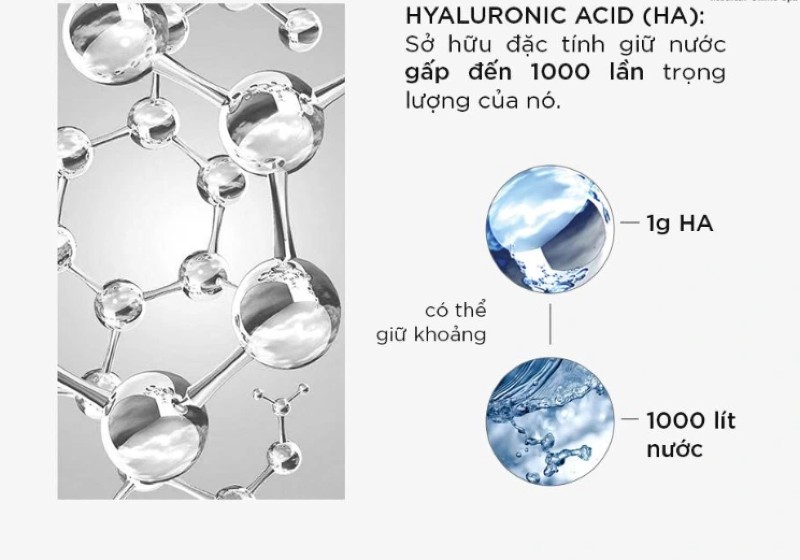 Hyaluronic Acid là gì 1