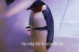 icon-chim-cánh-cụt-5 (1)