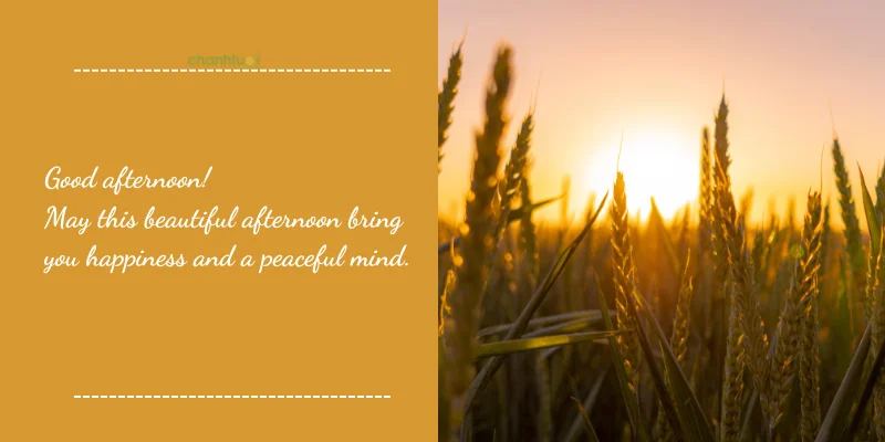 "Good afternoon! May this beautiful afternoon bring you happiness and a peaceful...