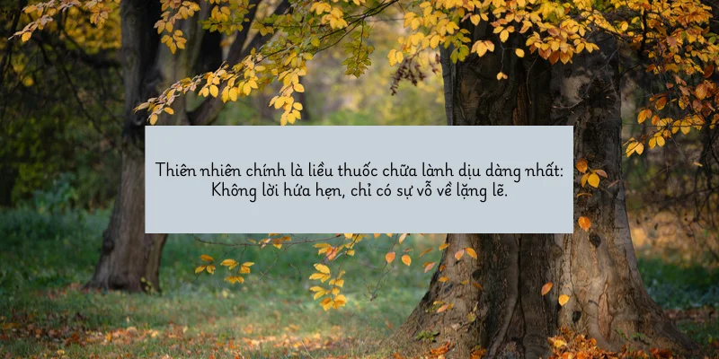 Trở về với đất trời bao la, nghe tiếng gió thổi qua kẽ lá, tự nhiên thấy lòng bì...