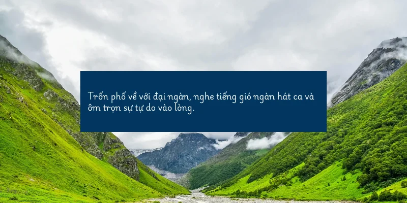 Đứng trước đại ngàn rợp bóng, mới thấy con người thật nhỏ bé, nhưng trái tim lại...
