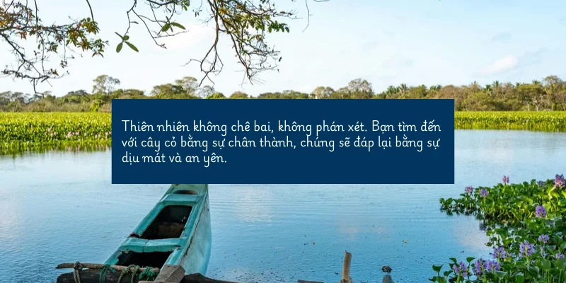 Đứng trước sự bao la của biển cả hay sự hùng vĩ của núi rừng, ta mới nhận ra nhữ...