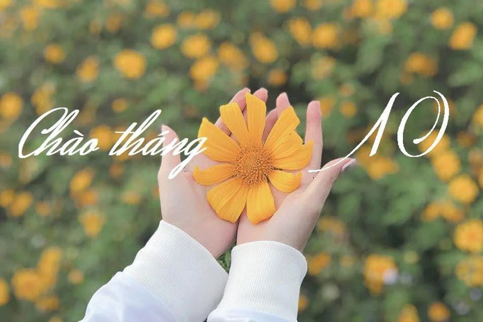 Tạm biệt tháng 9 cùng những cơn mưa cuối mùa hối hả. Chào tháng 10 dịu dàng mang...