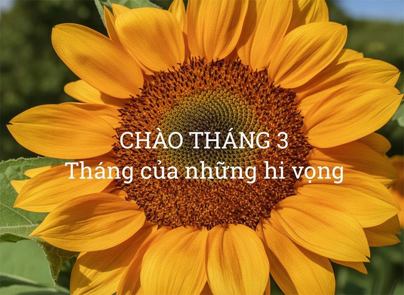 stt tháng 3
