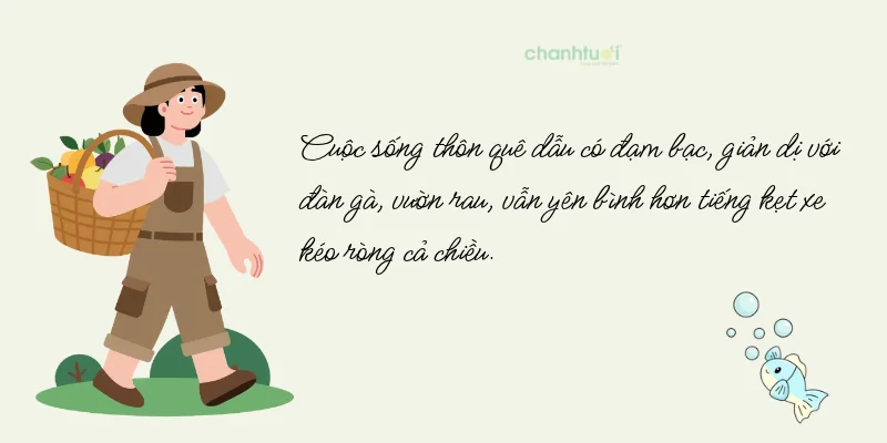 Một luống rau xanh, một ao cá nhỏ, thế là đủ vốn liếng cho một cuộc đời chậm rãi...