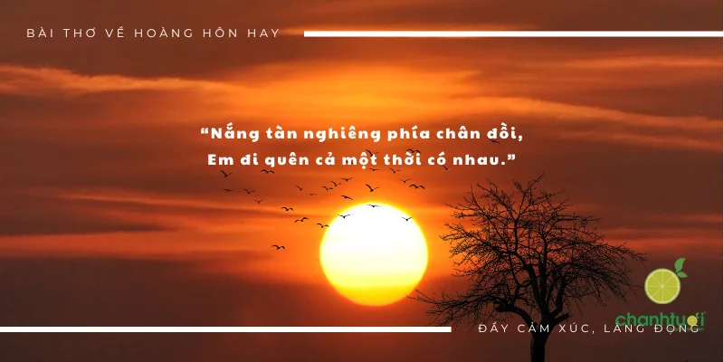 Nắng tàn nghiêng phía chân đồi,Em đi quên cả một thời có nhau.