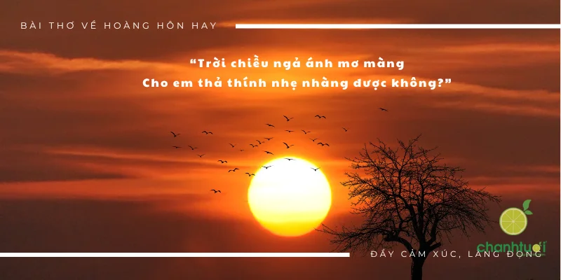 Hoàng hôn đẹp nhất cuối chiềuCòn em đẹp nhất khi về với anh.