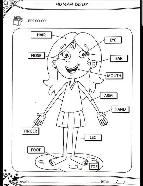 tranh tô màu các bộ phận trên cơ thể 12