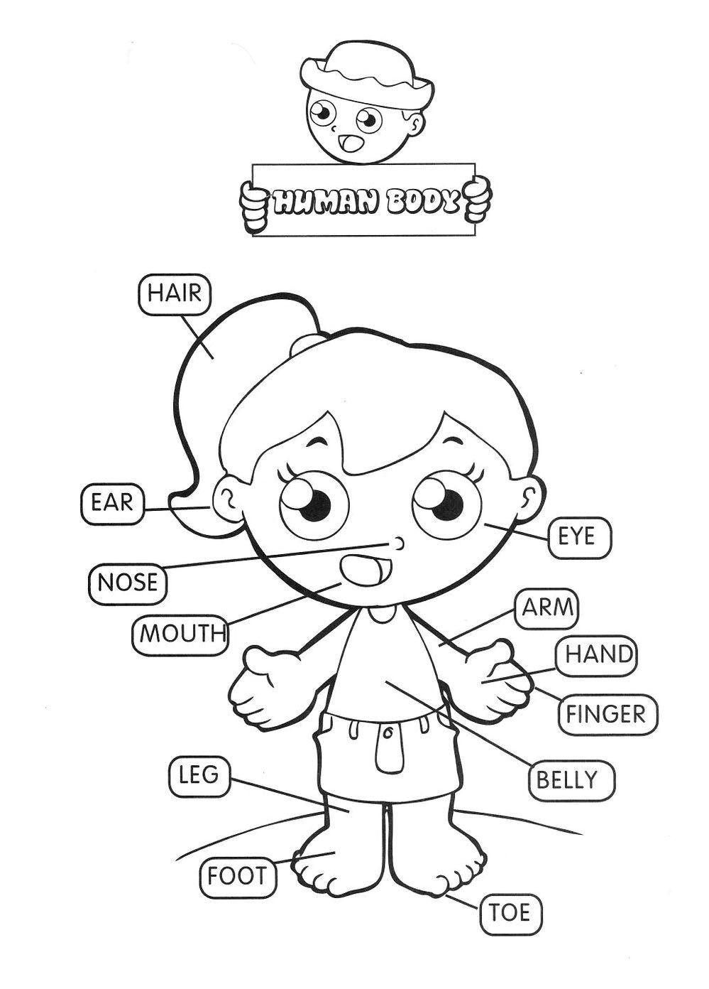 tranh tô màu các bộ phận trên cơ thể 13