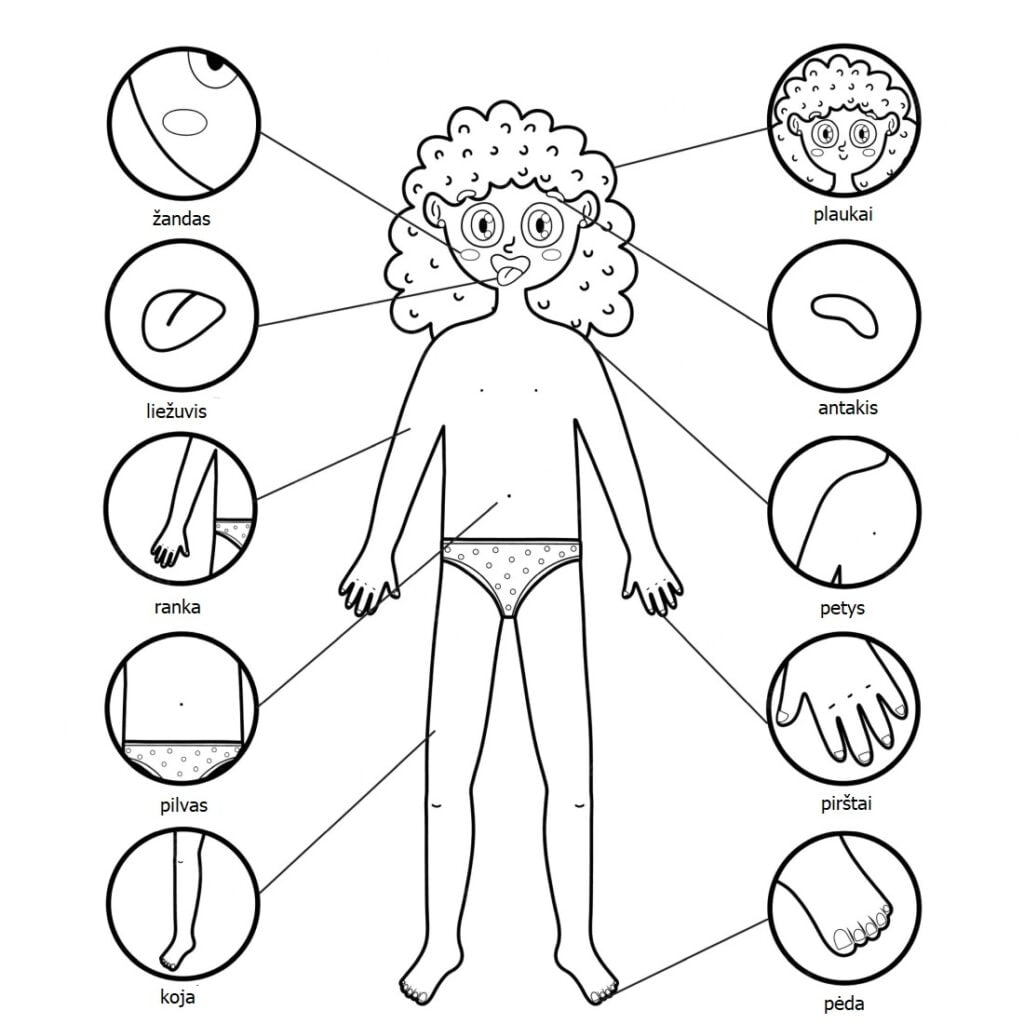 tranh tô màu các bộ phận trên cơ thể 3