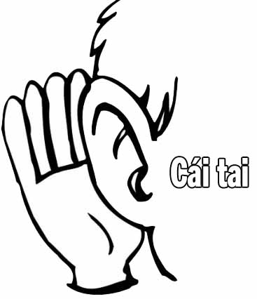 tranh tô màu các bộ phận trên cơ thể 4