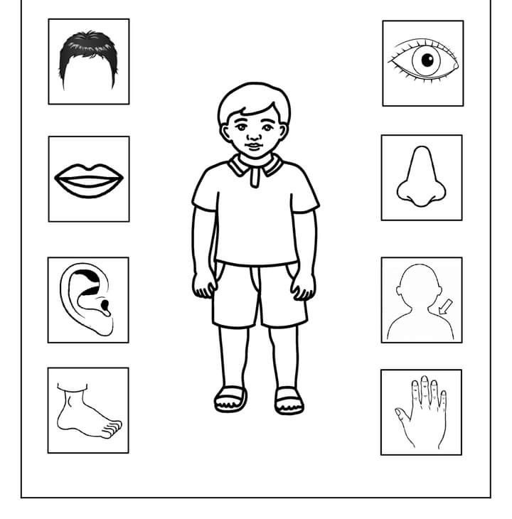 tranh tô màu các bộ phận trên cơ thể 5