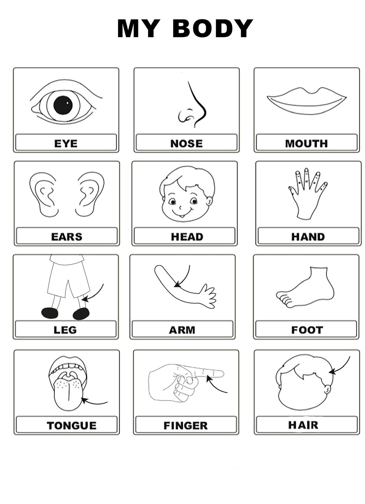 tranh tô màu các bộ phận trên cơ thể 7