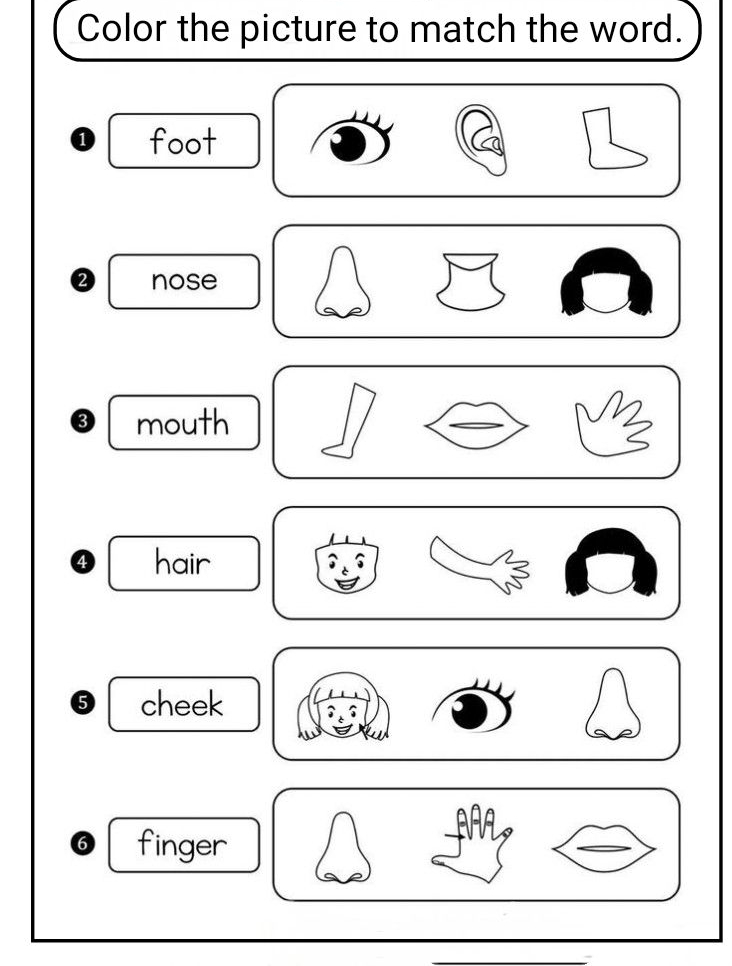 tranh tô màu các bộ phận trên cơ thể 8