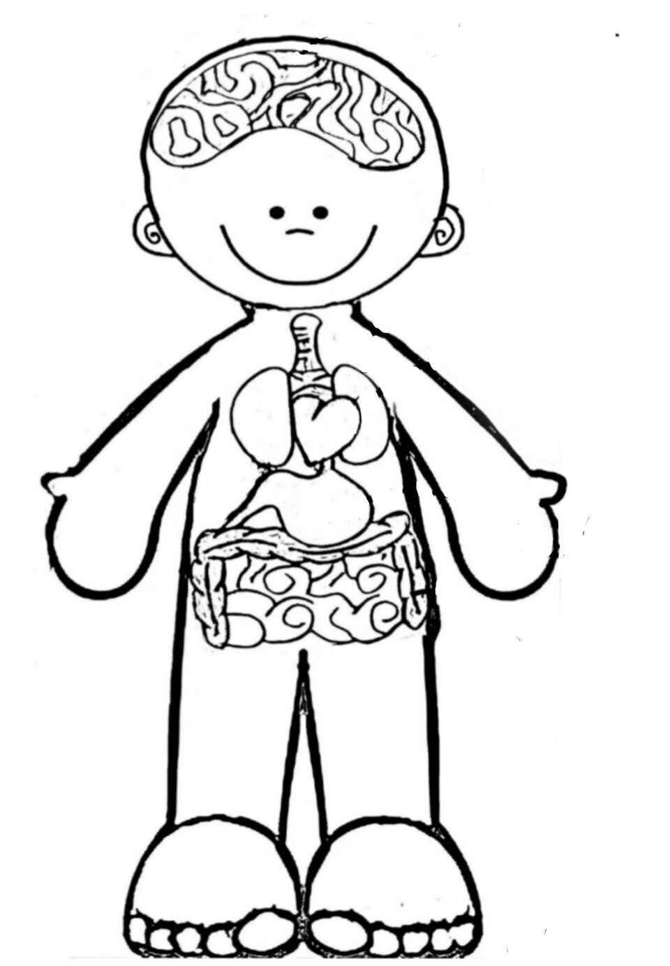 tranh tô màu các bộ phận trên cơ thể nội tạng 4