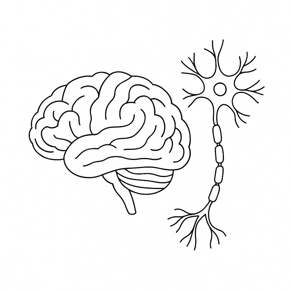 tranh tô màu các bộ phận trên cơ thể nội tạng 9