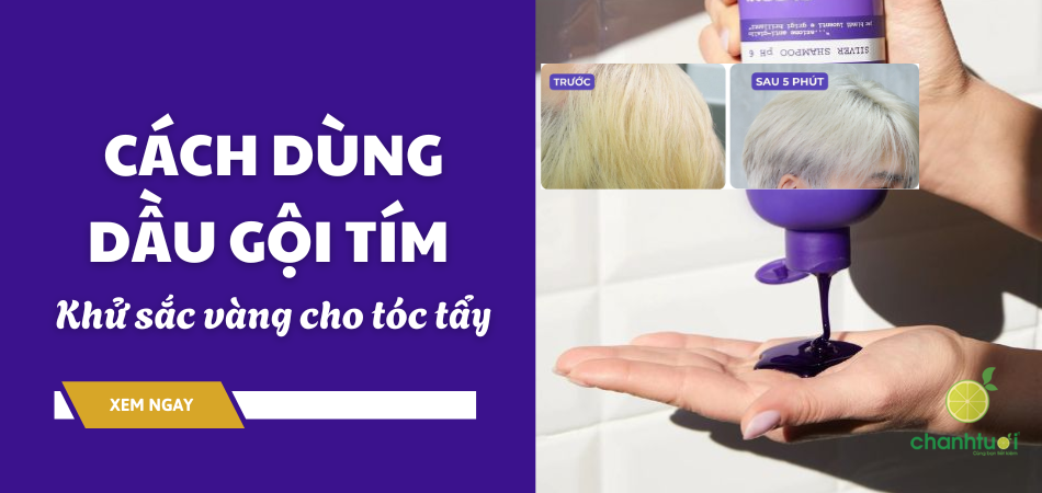 cach-dung-dau-goi-tim-thumb