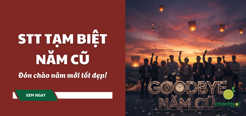 stt-tam-biet-nam-cu-thumb