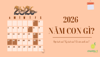 2026-la-nam-con-gi-add