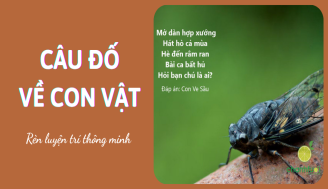 cau-do-ve-con-vat-thumb-2