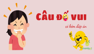 cau-do-vui-add