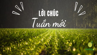 loi-chuc-dau-tuan-add