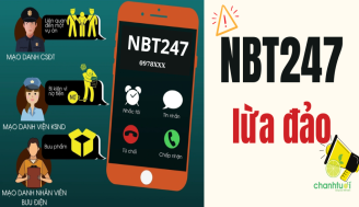 nbt-247-la-gi