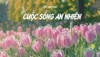 stt-cuoc-song-an-nhien-add