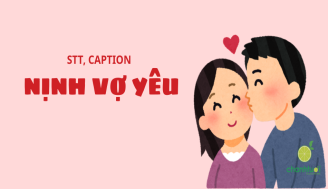 stt-ninh-vo-add-1