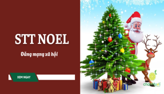 stt-noel-thumb