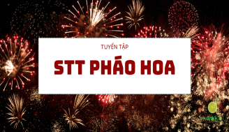 stt-phao-hoa-add
