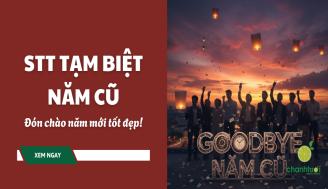 stt-tam-biet-nam-cu-thumb