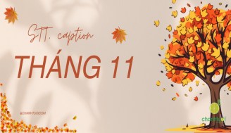 stt-thang-11-add