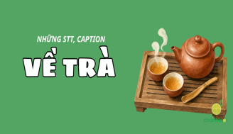 stt-ve-tra-add