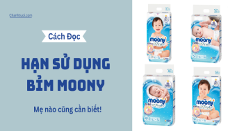 cach-doc-han-su-dung-cua-bim-moony-2