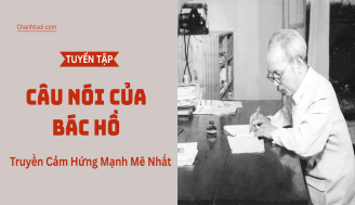 cau-noi-cua-bac-ho-1-1