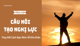 cau-noi-tao-nghi-luc-3