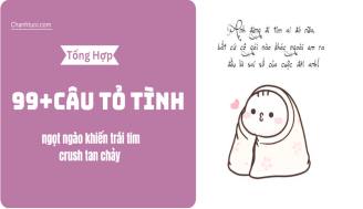 cau-to-tinh