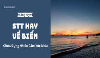 stt-hay-ve-bien-3