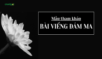 bai-vieng-dam-ma-add