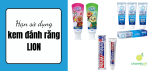 han-su-dung-kem-danh-rang-lion-add