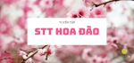 stt-hoa-dao-add