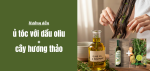 u-toc-voi-dau-oliu-va-cay-huong-thao-thumb