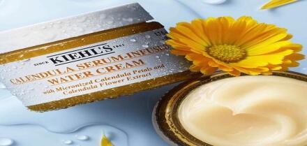 Kem dưỡng ẩm Kiehl's hoa cúc có tốt không? Giá như nào? Mua ở đâu?